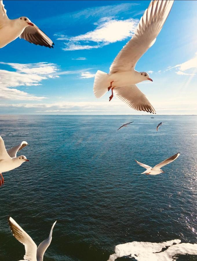 The Island Life Beach House 2 デ・コーフ エクステリア 写真